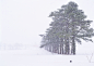 冰天雪地冬天雪景背景