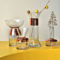 Dnnni北欧现代电镀沙漏形玻璃花瓶摆件家居客厅透明水培花器装饰