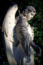 An Angel in Warriston cemetery, Edinburgh.