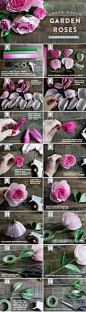 DIY Crepe Paper Ombré Garden Roses | Lia Griffith