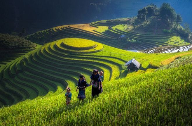 7---亚洲各地的稻田，美到惊叹！摄影师...