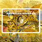 American Express: Imagined Designs on Behance