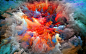 General 2560x1600 colorful Explosion of color