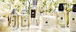 果香类 | Jo Malone China E-commerce Site