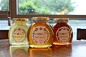 Hooney Honey Branding