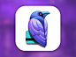 Raven App Icon [PSD]