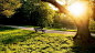幽静树林公园长椅唯美的自然景色高清壁纸图片http://www.kutoo8.com/