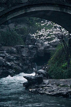 透明哈喇子般的小清新~采集到场景