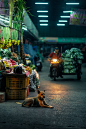 From_the_streets_of_Chiang_Mai_on_Behance