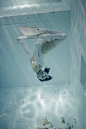 摄影大师古贺学的水中绝对领域新写真集《水中过膝袜PLUS》10月20日发售