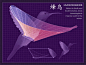 飞行生物们是如何舞动自己翅膀的？华盛顿的设计师Eleanor Lutz设计了一组动图，用慢动作展示了几种动物在飞翔时的美丽姿态。－蜂鸟