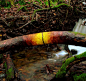 Andy Goldsworthy: 