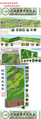 垂直绿化、绿墙、植物墙、立体绿化 (11)