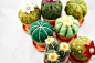 Felt Cactus (Pin Cushion)...By:OnceAgainSam: 
