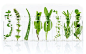 Close-Up Of Plants In Containers Against White Background