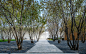 森居艺术馆的诗意巡行 | 北京中海首钢·天玺 : 栖居林涧，对话艺术生活