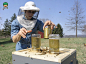 创意生活之辛勤劳作的养蜂人 追逐花开的游牧生活