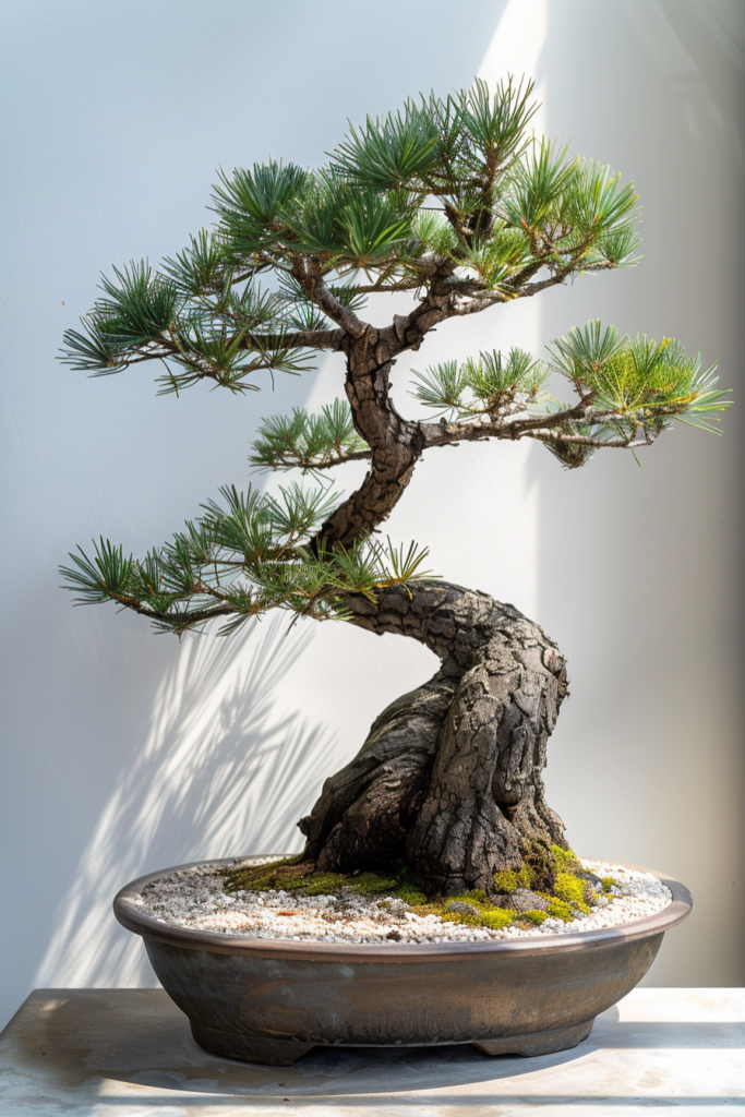 0f8c3f881001f96bcc0c7afa82c18906dfeaae1f13eac8-XZbTmv