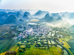 彼岸芽采集到背景*场景