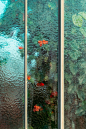 花房摄影师Samuel Zeller拍摄玻璃背后的植物私语 - 灵感日报 :   Samuel Zeller是一位来自瑞士日内瓦的摄影师，在他的摄影作品中，有一个名为Botanical的系列项目，收录他在世界各地的花房里拍摄的植物摄影作品。     Botanical这个项目源于一个寻常的春日午后，Samuel偶遇一间玻…