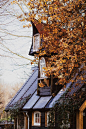 一张秋天风景的垂直照片，上面有奇异的橙色叶子和一座木头房子