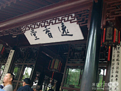 Zhangchanggong采集到拙政园-journey in suzhou--day