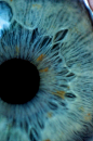 Eye | Iris | Pupil | 目 | œil | глаз | Occhio | Ojo | Color | Texture | Pattern | Macro |