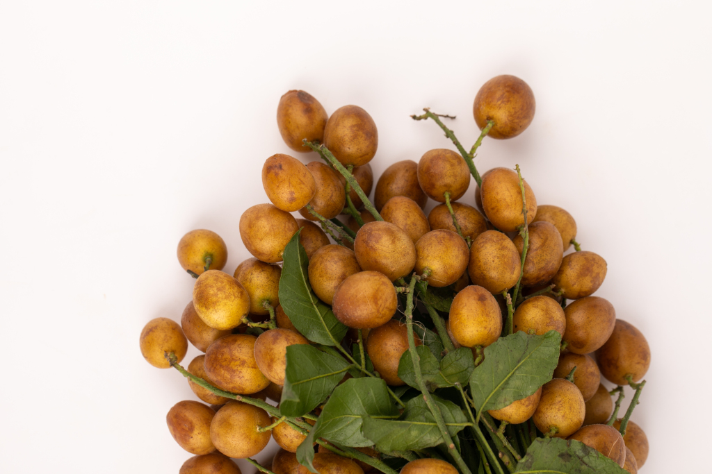 0fb2a1d369d013ab6a4d4f213479663f2fbce8ba65c12-SG1HZU