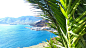 General 4208x2368 madeira palm trees landscape sea city coast mountains beach island bay Portugal