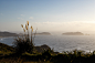 Cape Reinga 雷因格海角