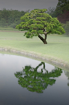 梦幻颖绕采集到独树一帜之魅