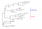 Phylogenetic trees in R using ggtree : Recently, one R package which I like to use for visualizing phylogenetic trees got published. It’s called ggtree, and as you might guess from the name it is based on the popular ggplot2 packa…