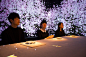 teamlab interactive saga beef restaurant