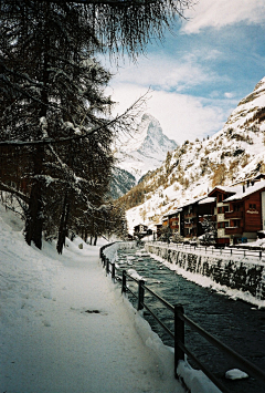 蕩失璐采集到雪景