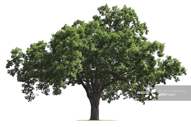 0ffaa4f921b0b80d13ed22ff94c960e477296aa02b883-kMLhc2