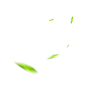 绿叶树叶叶子漂浮装饰png (1)
