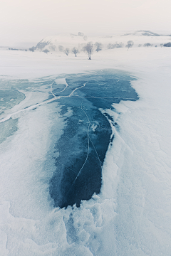 水吟舟采集到天下皆白——雪