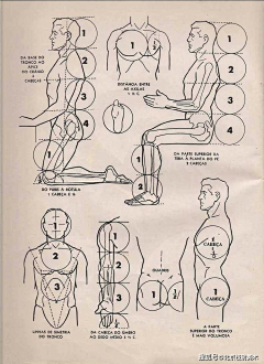 晴天白日梦采集到body