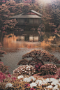 Azalea Paradise | Kiyoshi Lida