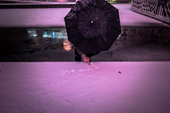 honghui采集到一蓑烟雨任平生