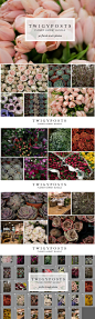 终极鲜花装饰图案素材包 Ultimate Floral Stock Photo Bundle
