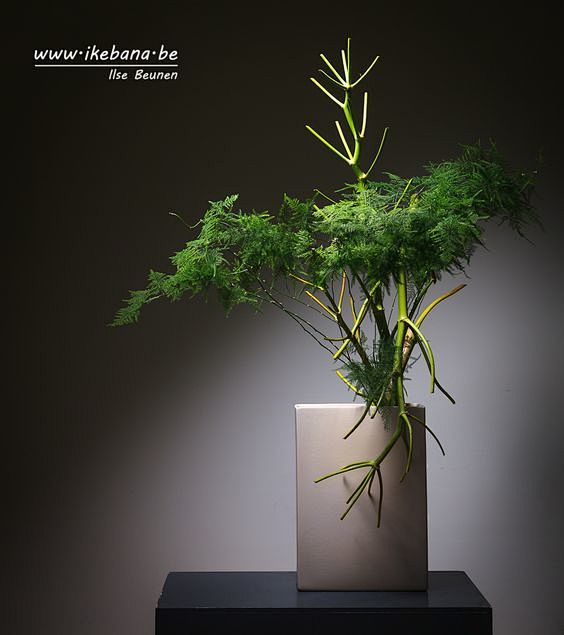 Ikebana arrangement ...