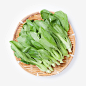  小青菜 600g - 绿叶菜 - 绿色蔬菜 - 蔬菜宅配