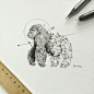 菲律宾插画师 Kerby Rosanes 运用几何图形与动物融合创作的手绘插画  ​​​​