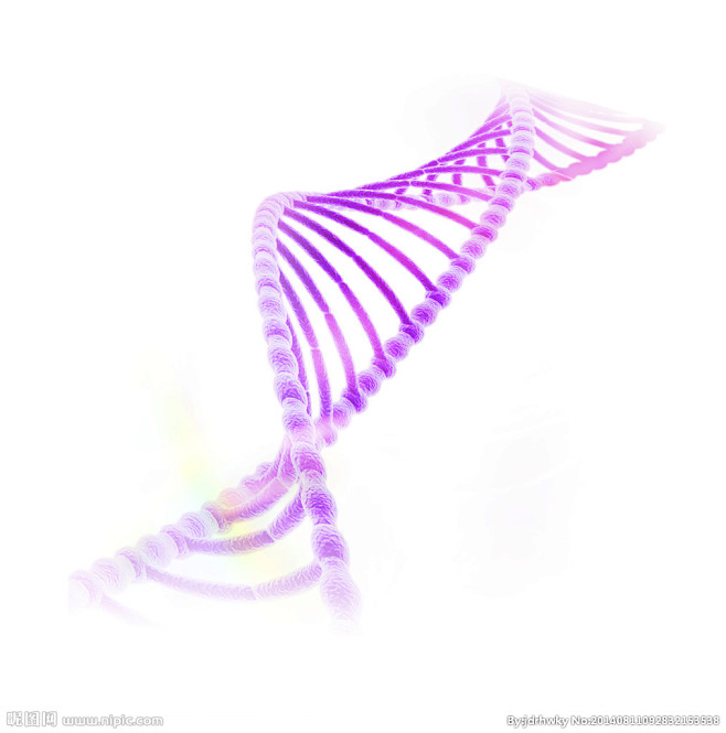 DNA   生物  肽链