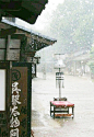 Japan rain