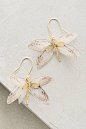 Women's Jewelry - Designer & Fashion Jewelry for Women | Anthropologie