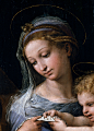 Raffaello Sanzio (Raphael) - Madonna della Rosa (Detail) (1518 - 1520)