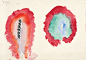 Hilma af Klint - Wikipedia