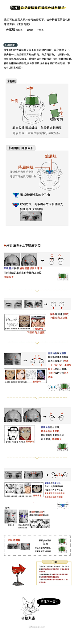 瞎涂的王某某采集到教程